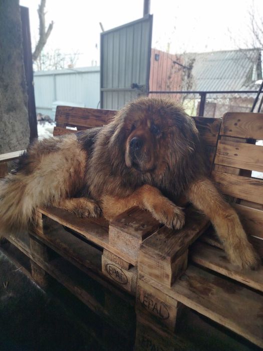 Шикарный мальчик предлагает свои услуги