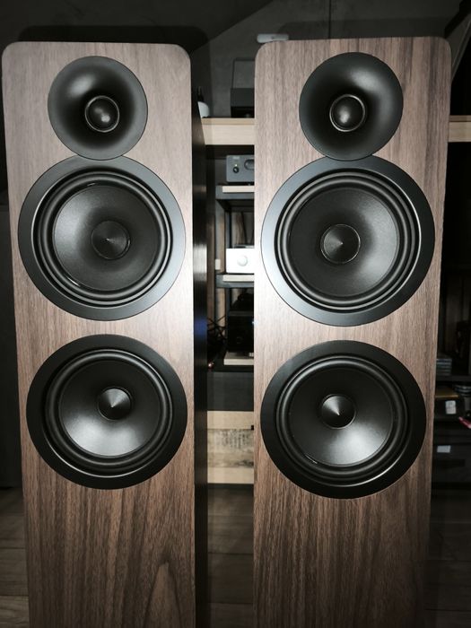 Підлогова Акустика Acoustic Energy AE 109