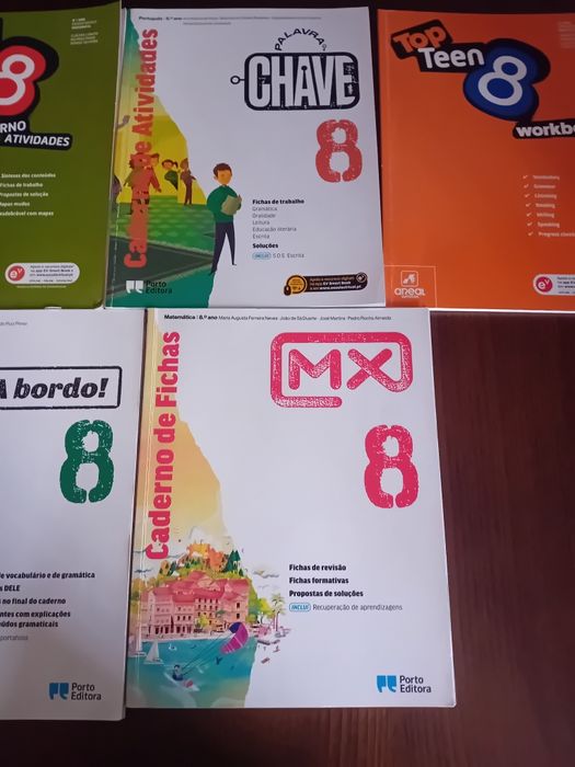 Cadernos de atividades 8.o ano bom estado