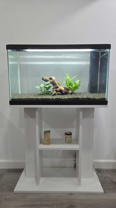 Aquário 60L + Móvel