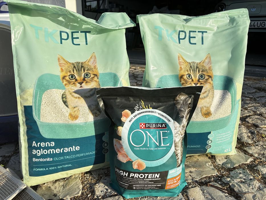 Conjunto para gato