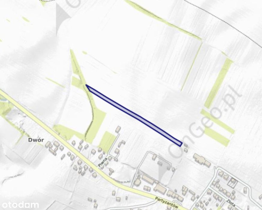 Działka rolna 5073 m² | Szczebrzeszyn | Klasy II, IIIa, IIIb | KW - Widok 3