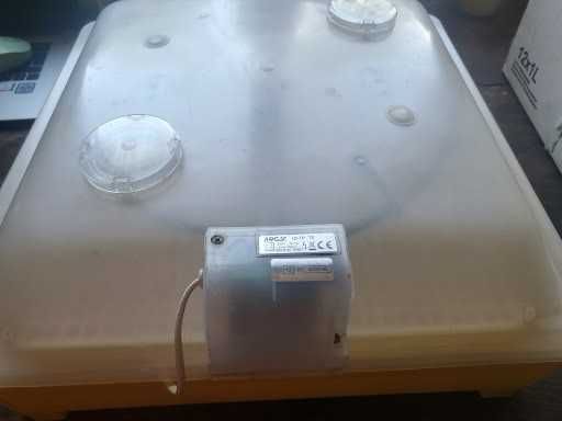 inkubator do wylęgu jaj