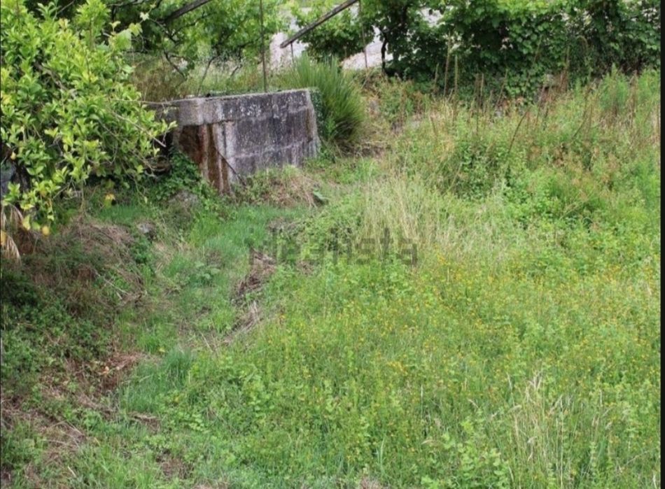 Pequena quinta com 2900m2
