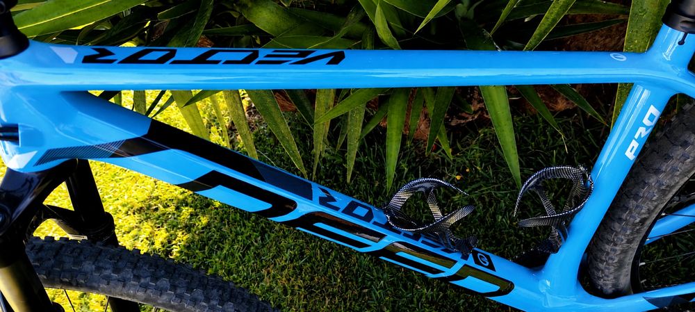 DEED vector carbono