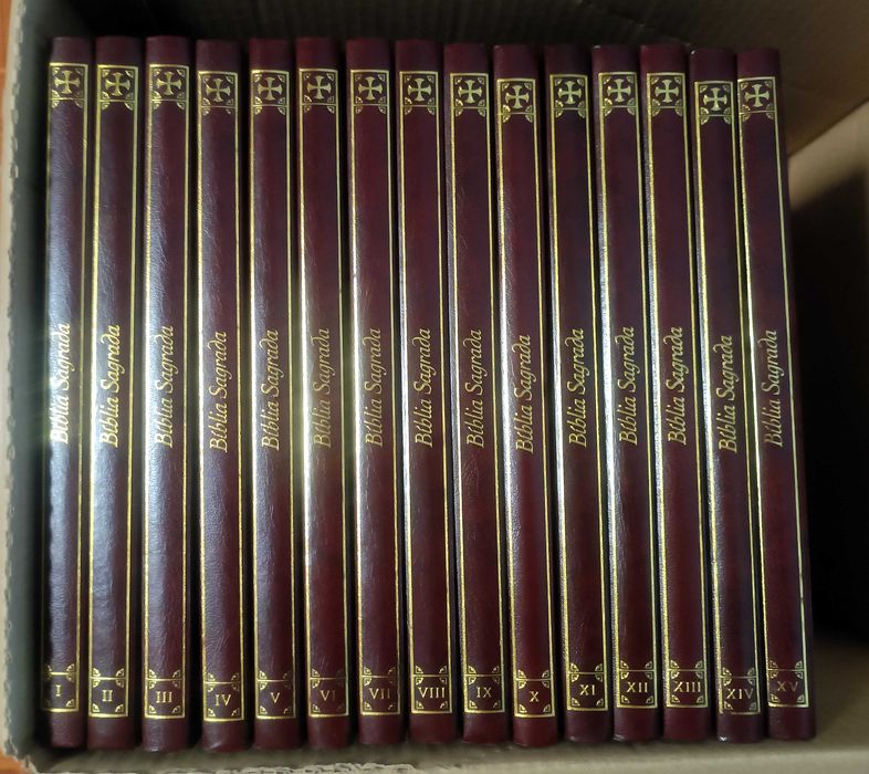 Bíblia Sagrada Ilustrada - 15 Volumes, Coleção Completa 2004