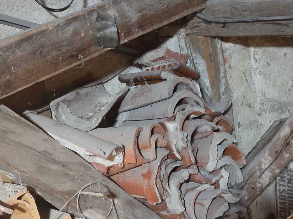 Dachówka karpiówka gąsiory