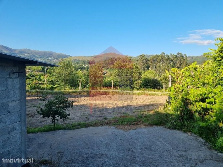 Terreno agrícola, Pico — Pico, Braga