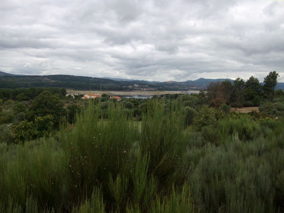 Terreno RUSTICO 3500m2 c/ vista deslumbrante sobre Albufeira Rio Vilar