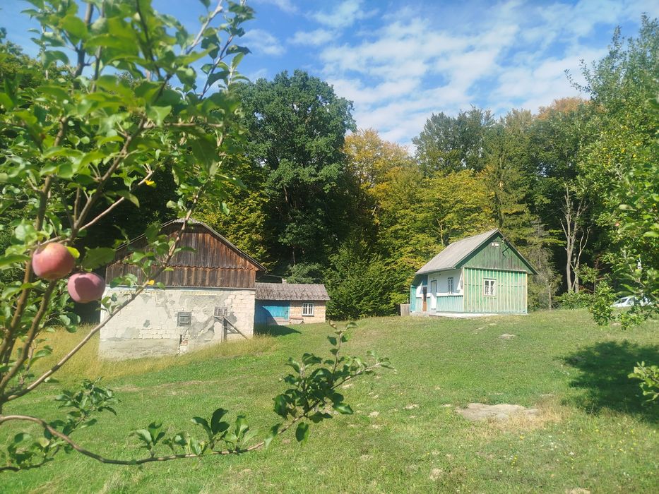 Будинок біля лісу, велика ділянка для дачі, відпочинку, Карпати