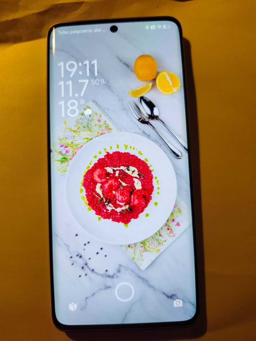 Xiaomi Redmi Note 13 Pro+ 5G