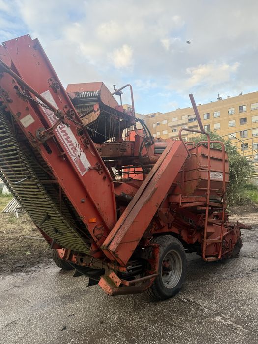Grimme LK650 Maquina colher batatas