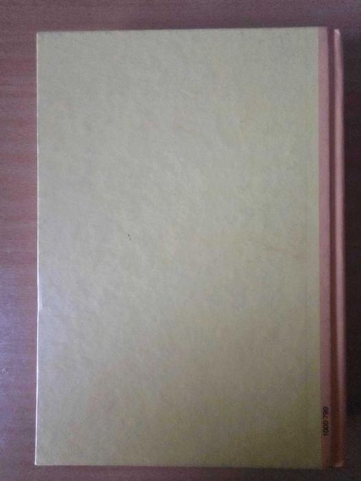 Livro "Os Filhos da Mãe" de Rita Ferro
