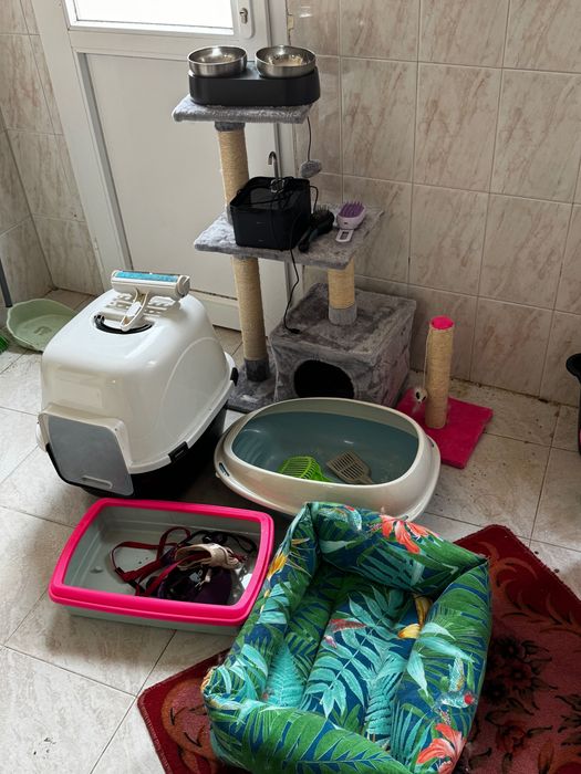Kit para gatos, semi nuevo