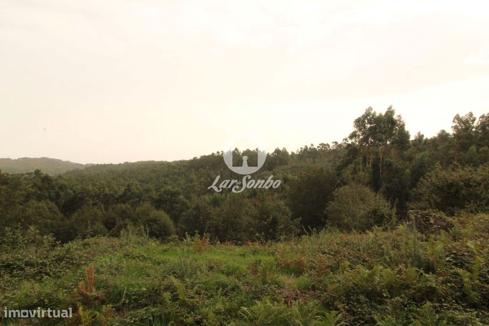Terreno com 22.500m2 área S. Gens Fafe — São Gens, Braga