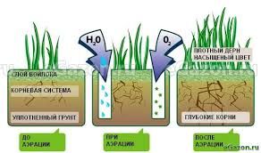 Аэрация та Скарификация ( Вическа) Газона.
