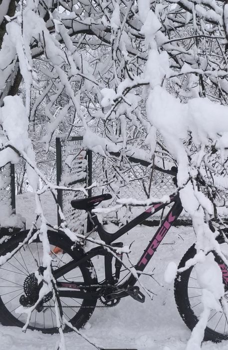 Rower trek fuel ex 8