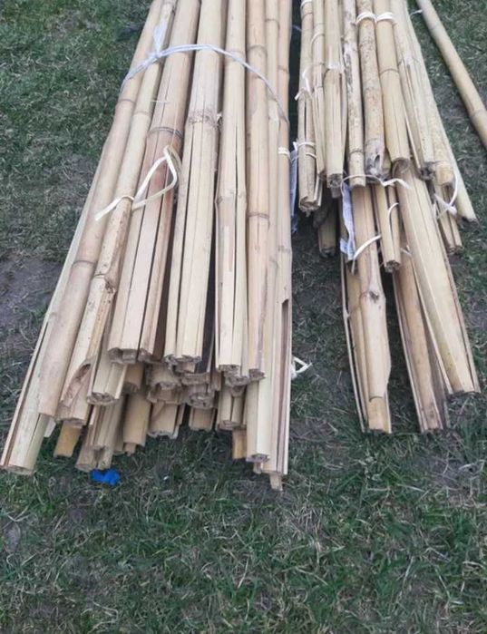 Tyczki pochodnie bambusowe 150-170 grube nowe