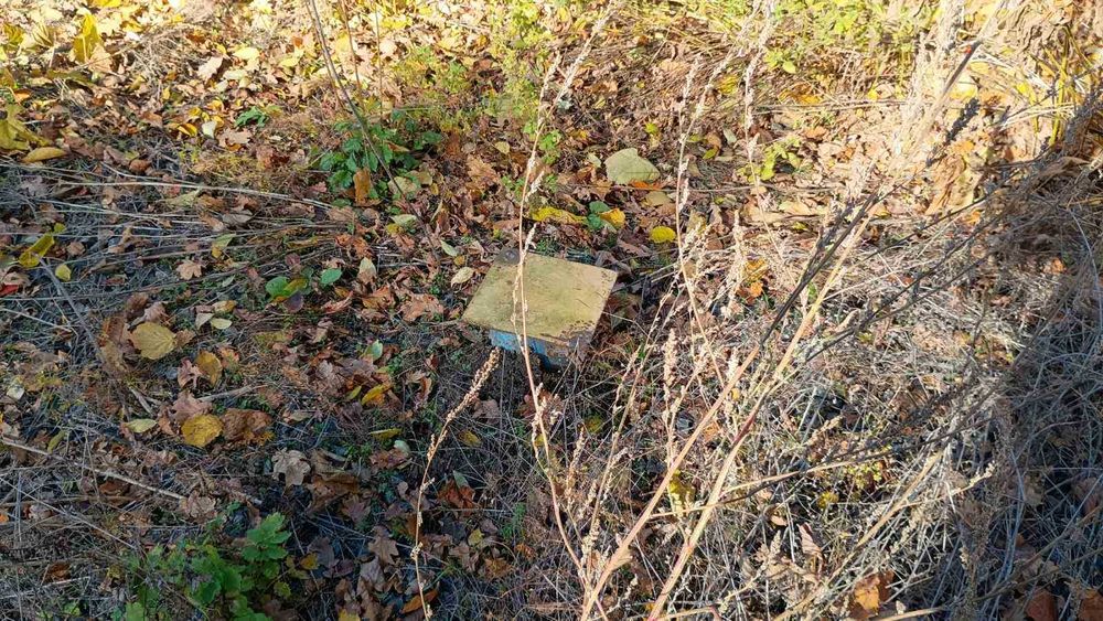 Продам ділянку в Академічному 9922