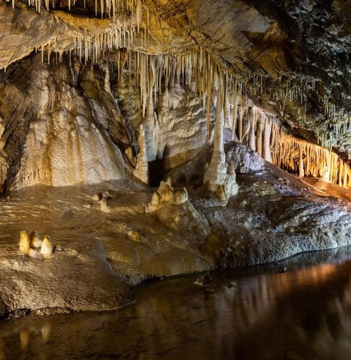 Dom pod Śnieżnikiem Apartament 2-7 os