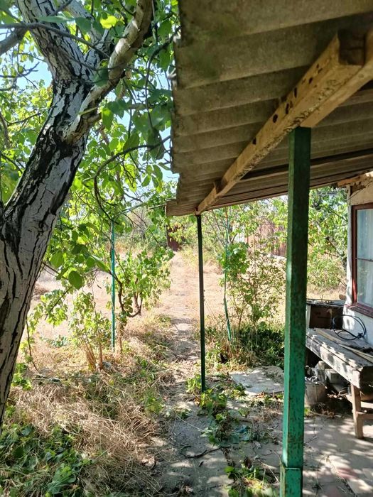 Светлое дачи, участки от 6 соток, документы по интересным ценам.