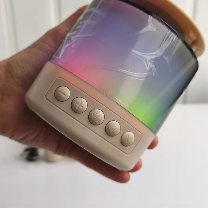 Колонка караоке з 2 мікрофонами