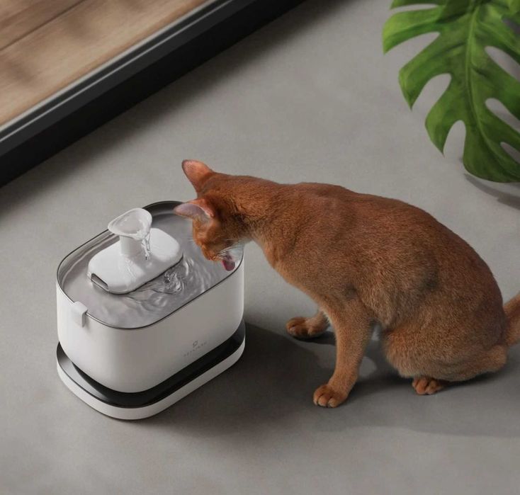 PetLibro - Fonte de água para gatos s/ cabo e c/ sensor de movimento