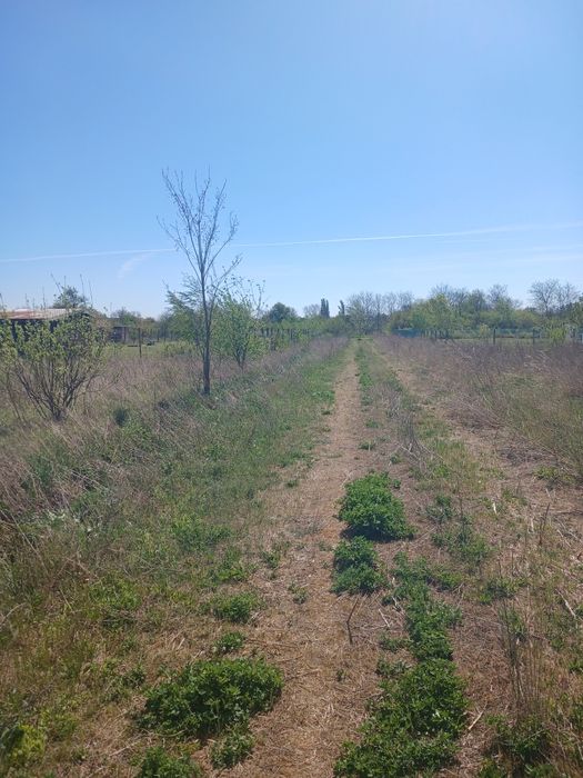Земельна ділянка у передмісті Берегова для будівництва будинку