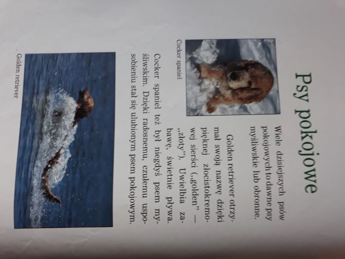 Psy. Dziecięca Biblioteka Przyrody