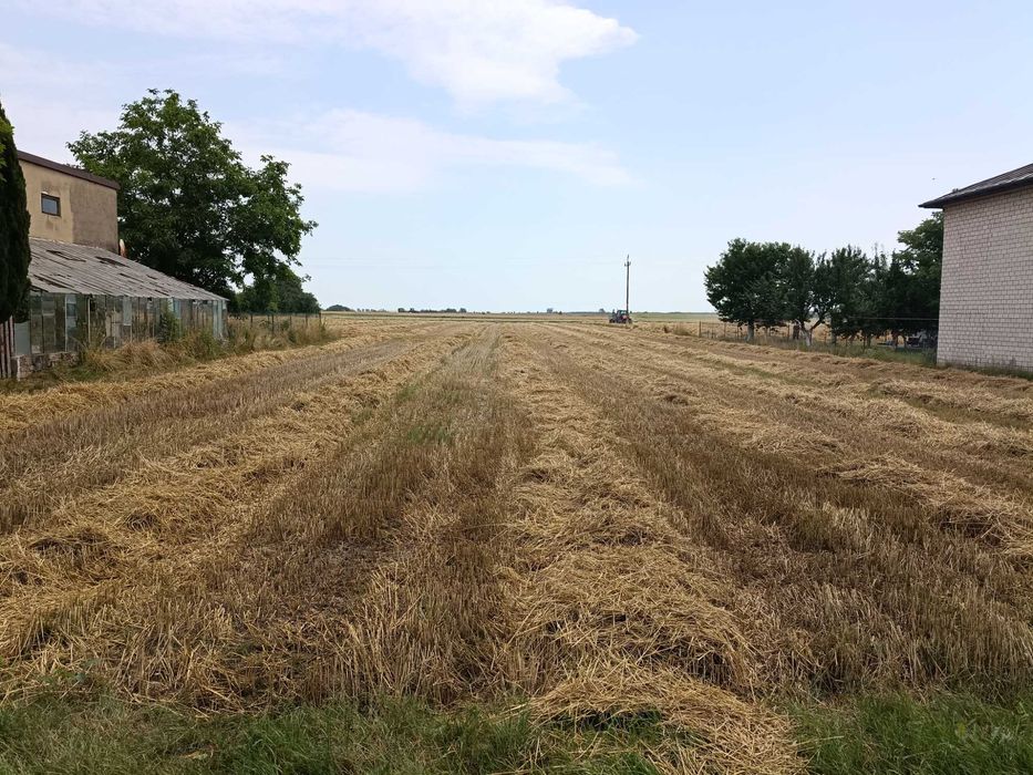 Działka rolno-budowlana w Łękach Szlacheckich woj. łódzkie, pow. piotrkowski