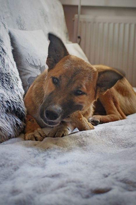 Milan - przeszedł piekło, teraz czas na spokój i miłość