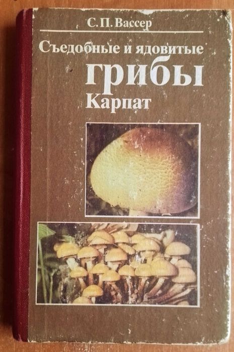 справочник грибника съедобные и ядовитые грибы грибнику