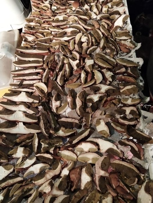 Borowik szlachetny suszone grzyby  prawdziwek 300 gram