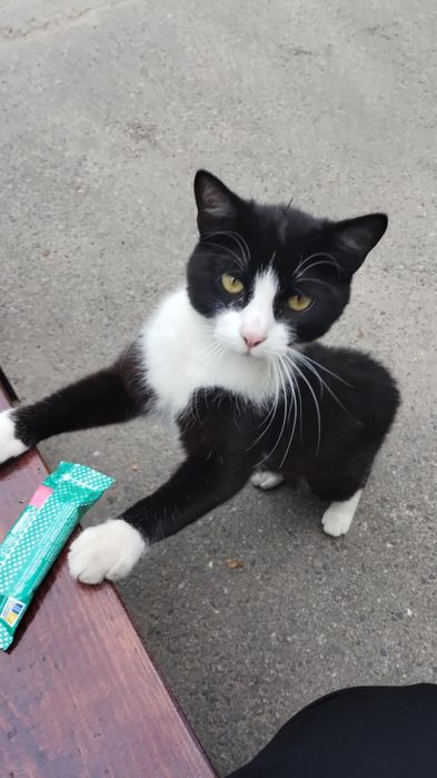 Мальчик срочно ищет дом, очень классный