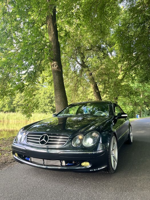 Mercedes Benz W209