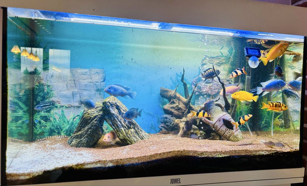 Akwarium kompletne 125