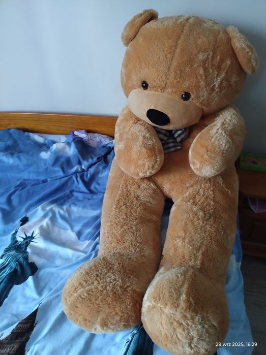 Sprzedam Dużego Misia