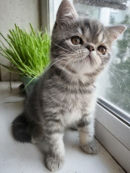 Мальчик красавчик