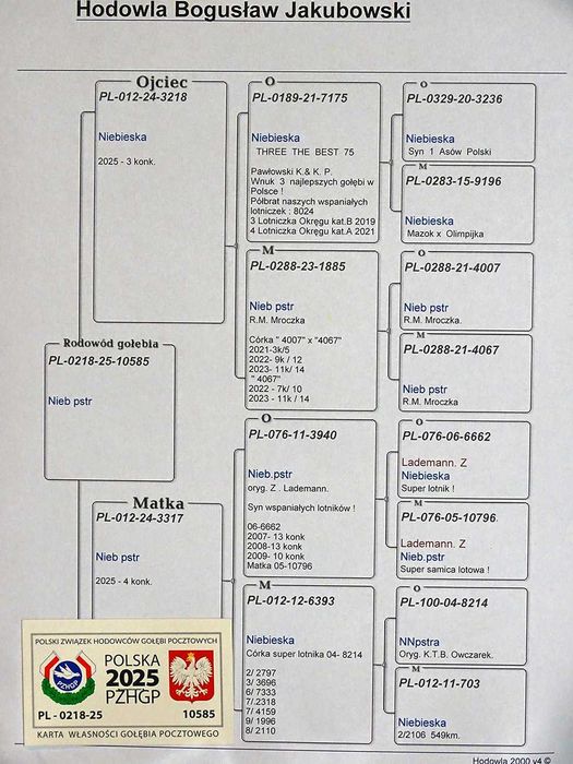 Gołębie Pocztowe - Hodowla Jakubowski