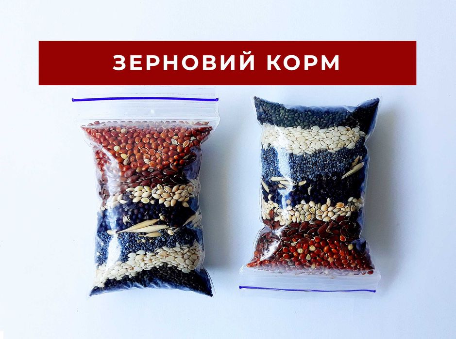 Зерновий корм для мурах та птахів, набір 8 різновидів насіння