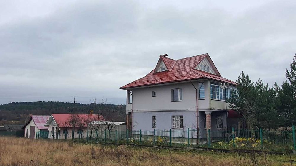 Продається просторий будинок у селі Нивочин по вулиці Шевченка