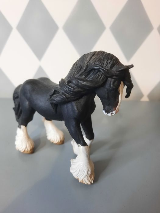 Koń collecta custom
