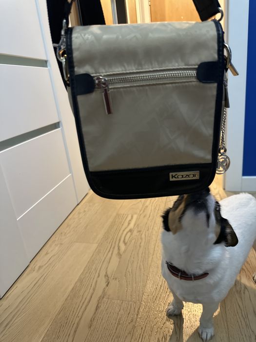 Torebka kazar beżowa