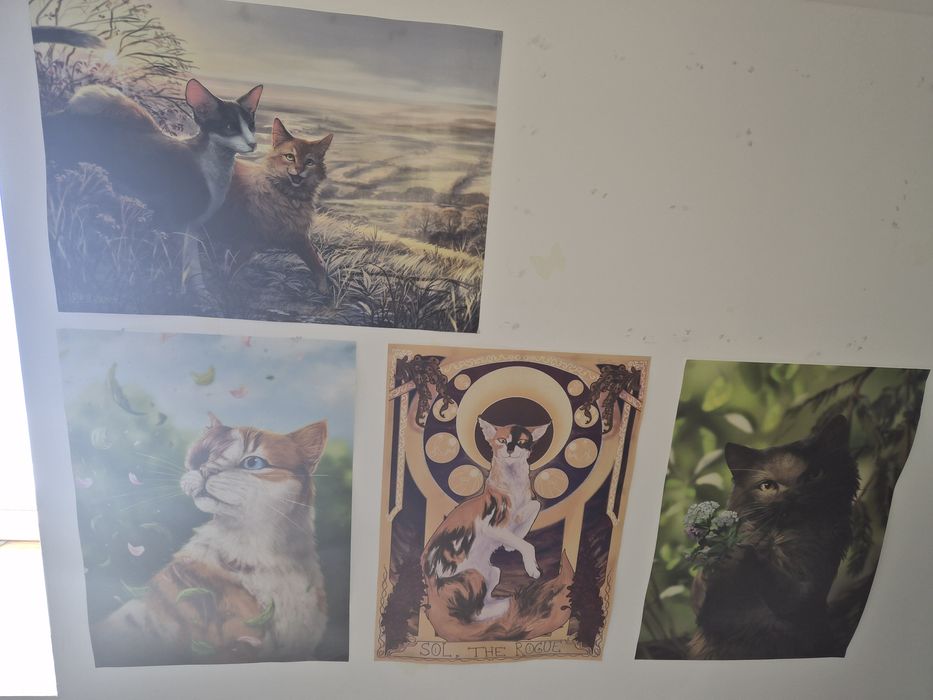 Sprzedam plakaty dodatki wojownicy Erin hunter