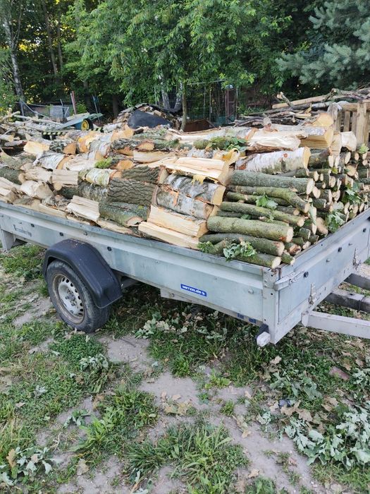 Drzewo kominkowe i opałowe