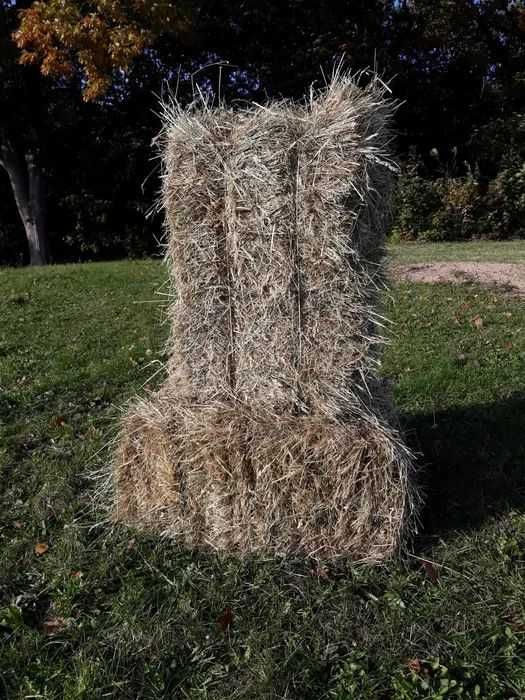 Siano w kostkach, baloty