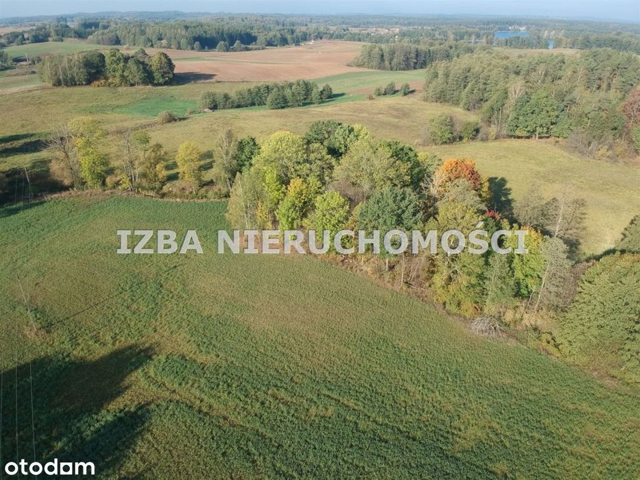 Działka, Bienie