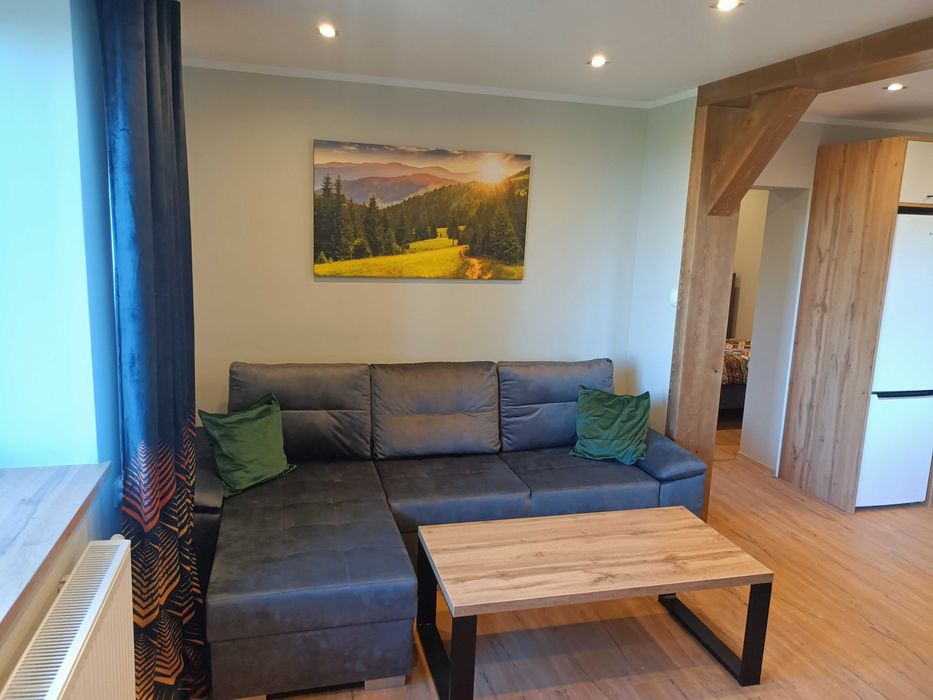 Pogodny Dom,Domki, Brenna, Rodziny, Góry, Balia, Jacuzzi, nocowanie