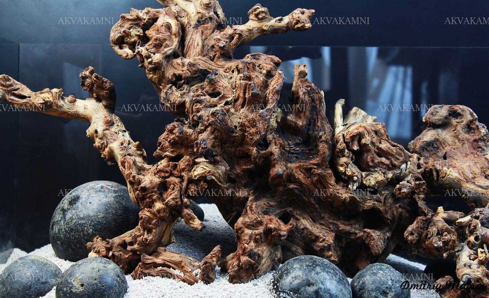 Коряги для аквариума. Корни Азалии, Мопани, Мангровые, Ротанг, бонсаи