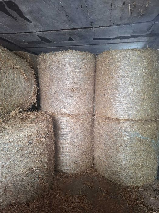 Sprzedam Słoma Sucha . Cena z Transportem